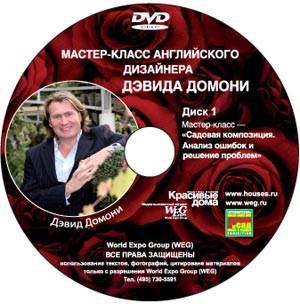 Мастер-класс английского дизайнера Дэвида Домони (_0.jpg